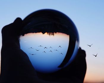 Close-up of silhouette hand against sky during sunset