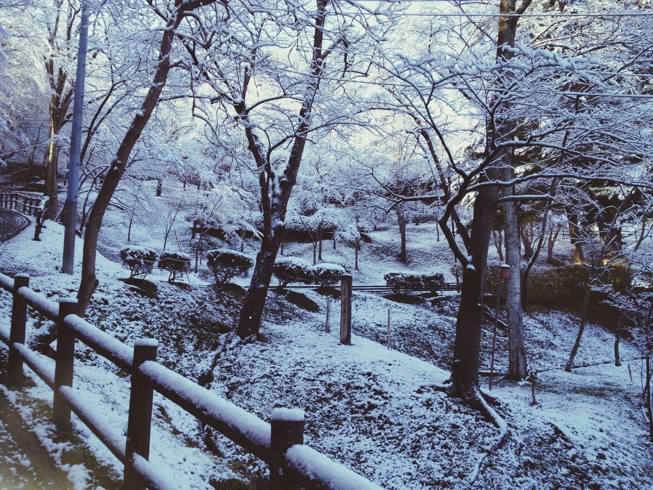 釣山公園