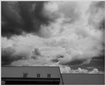 Birds against sky