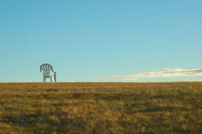 Scenic view of grassy field against sky