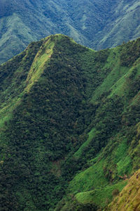 Mountain range downhill peak with light mist at morning from top angle