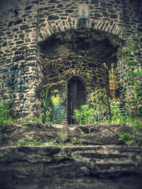 arch, architecture, built structure, stone wall, history, archway, old, building exterior, wall - building feature, tree, indoors, tunnel, day, the past, old ruin, arched, stone material, brick wall, no people, entrance