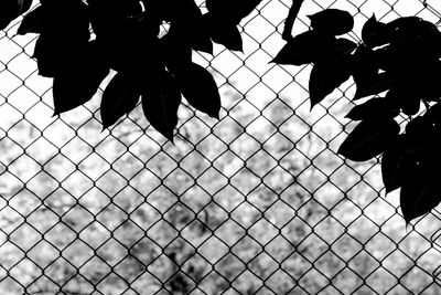 Close-up of chainlink fence against sky