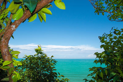 Scenic view of sea against blue sky