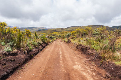 An empty dirt road against a mountain background at chogoria route, mount kenya national park, kenya