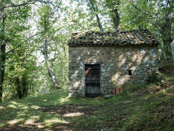 Abandoned house amidst trees in forest