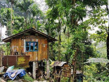 Abandoned house by trees in forest against sky