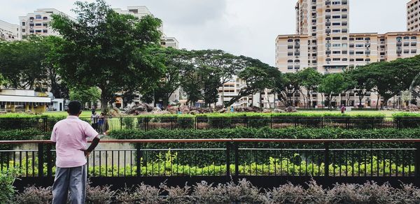 Rear view of man standing by railing and plants at public park