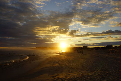 Scenic view of sea at sunset