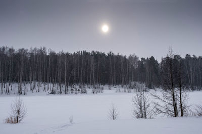 Trees on snow covered field against sky