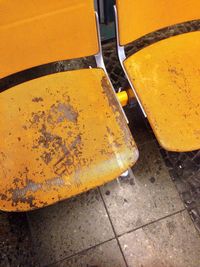 Close-up of yellow flower