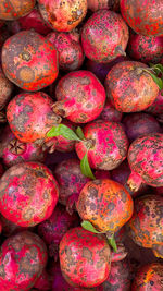 Full frame shot of multi colored fruits at market stall