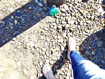 Low section of person standing on stones