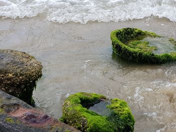 High angle view of rocks on beach