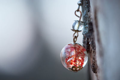 Close-up of berries hanging on outdoors