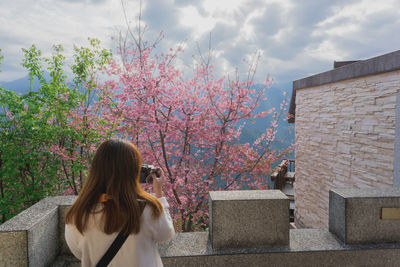 Rear view of woman photographing trees against sky