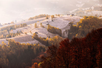 High angle view of trees on landscape against sky