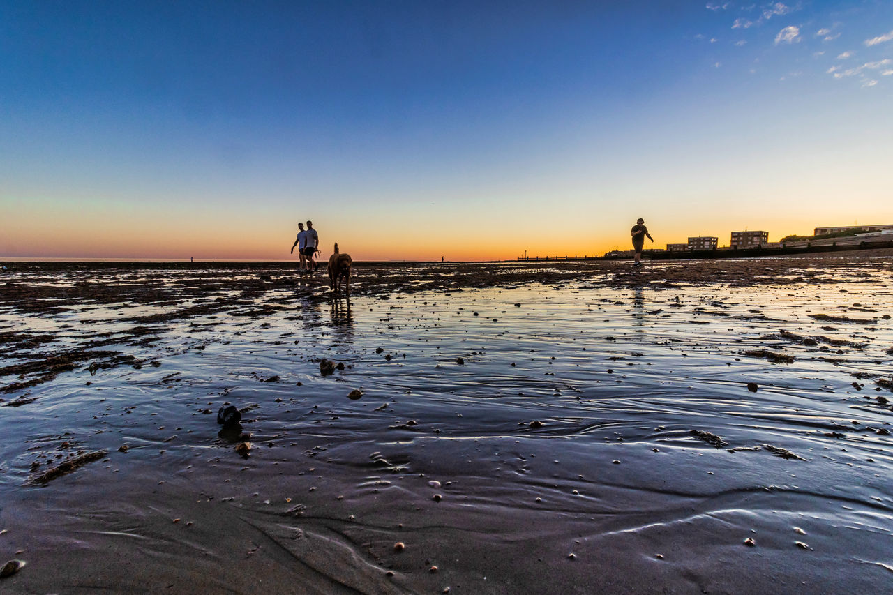 SILHOUETTE MAN AT BEACH DURING SUNSET