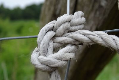 Close-up of tied rope on metallic fence