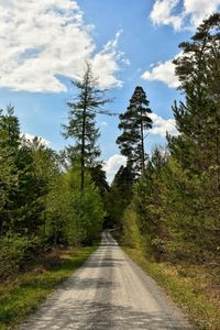 Road amidst trees in forest against sky