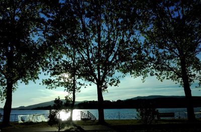 Silhouette trees by lake against sky during sunset