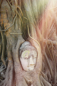 Close-up of angel statue