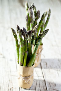 Close-up of plant on table