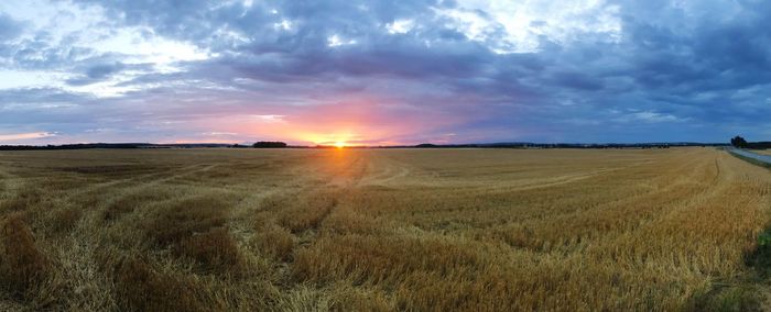 Scenic view of agricultural field against sky during sunset