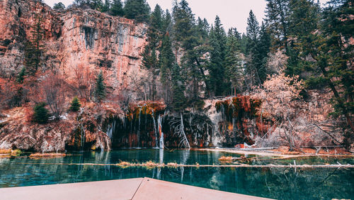 Scenic view of lake by trees