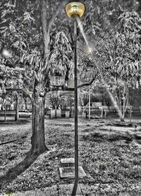 Street light in park