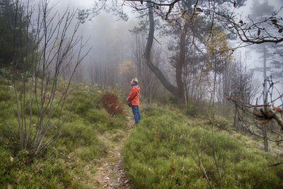 Side view of person standing at forest