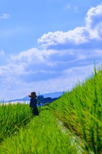 Scarecrow on rice field against sky