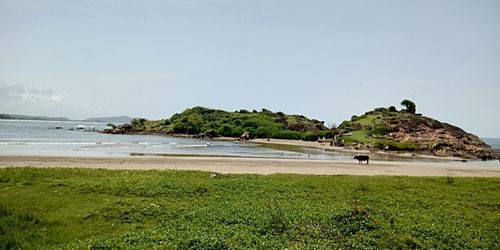 Scenic view of beach against sky