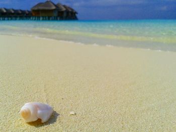 View of beach against sky