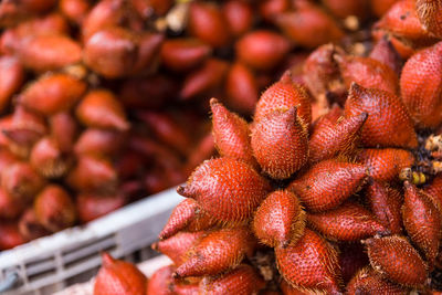 Close-up of snake fruits for sale at market stall