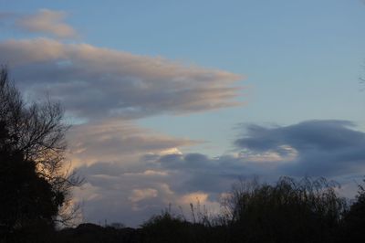 Low angle view of silhouette trees against sky at sunset