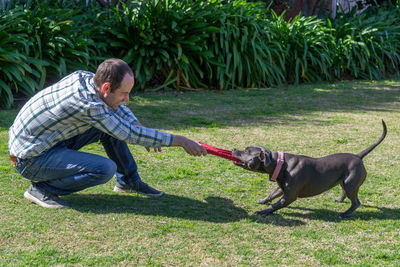 Side view of man with dog on grassy field