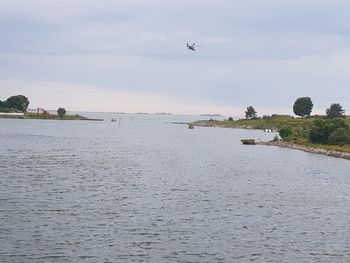 Bird flying over sea against sky