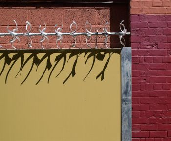 Close-up of window on brick wall