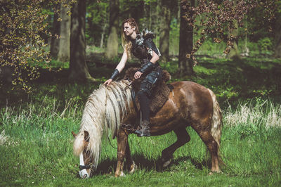 View of a horse on field