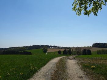 Dirt road amidst field against clear sky
