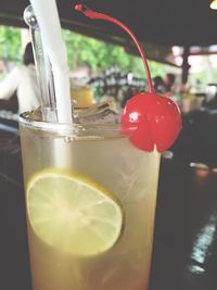 Close-up of red flower