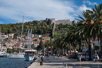 Port of hvar