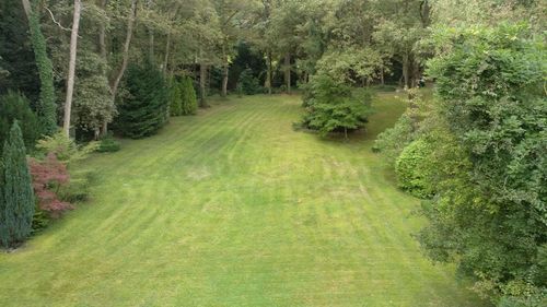 Scenic view of grass and trees