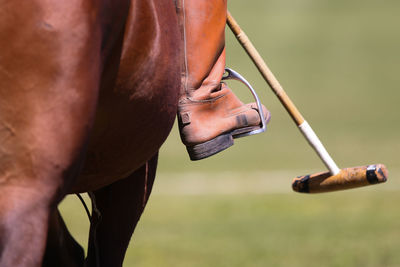 Low section of man wearing high heels 
polo argentino