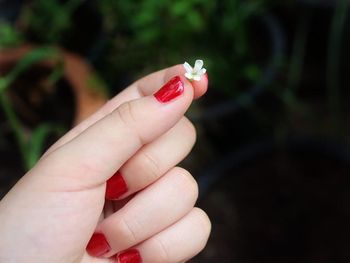Close-up of hand holding red fruit