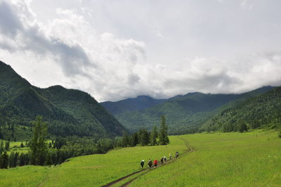 Scenic view of green landscape against sky