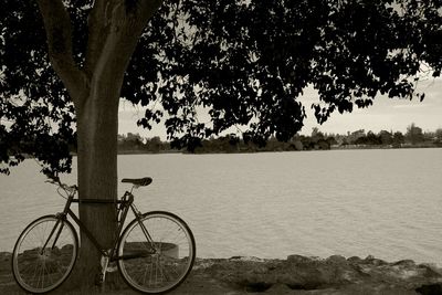 Side view of cars parked by river