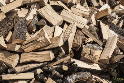 Full frame shot of logs in forest