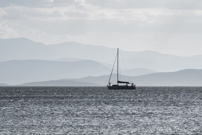 Sailboat sailing on sea against sky